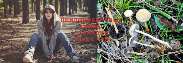 метадон Алексеевка