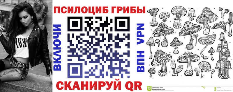 сайты даркнета официальный сайт  блэк спрут вход  Апшеронск  Псилоцибиновые грибы Psilocybe 